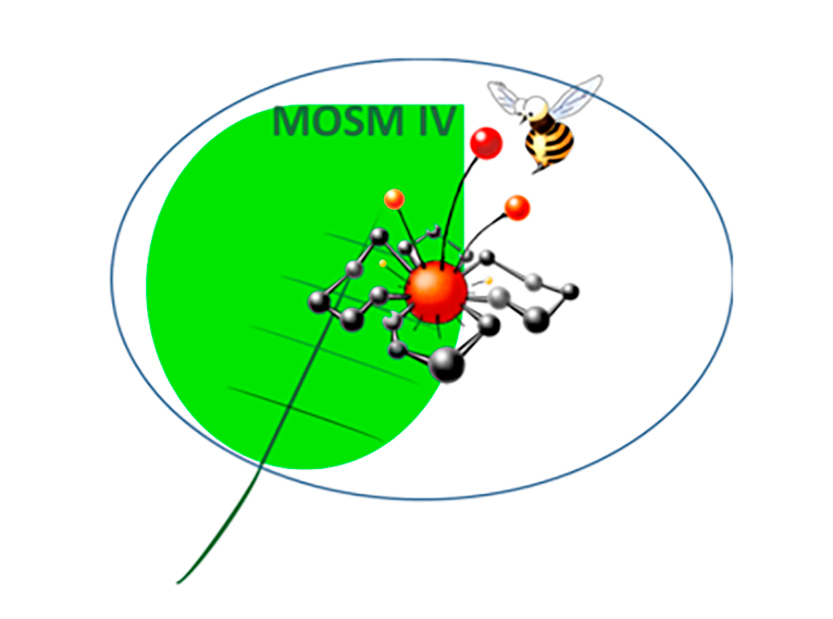 IV Международная научно-практическая конференция «Современные синтетические методологии для создания лекарственных препаратов и функциональных материалов»