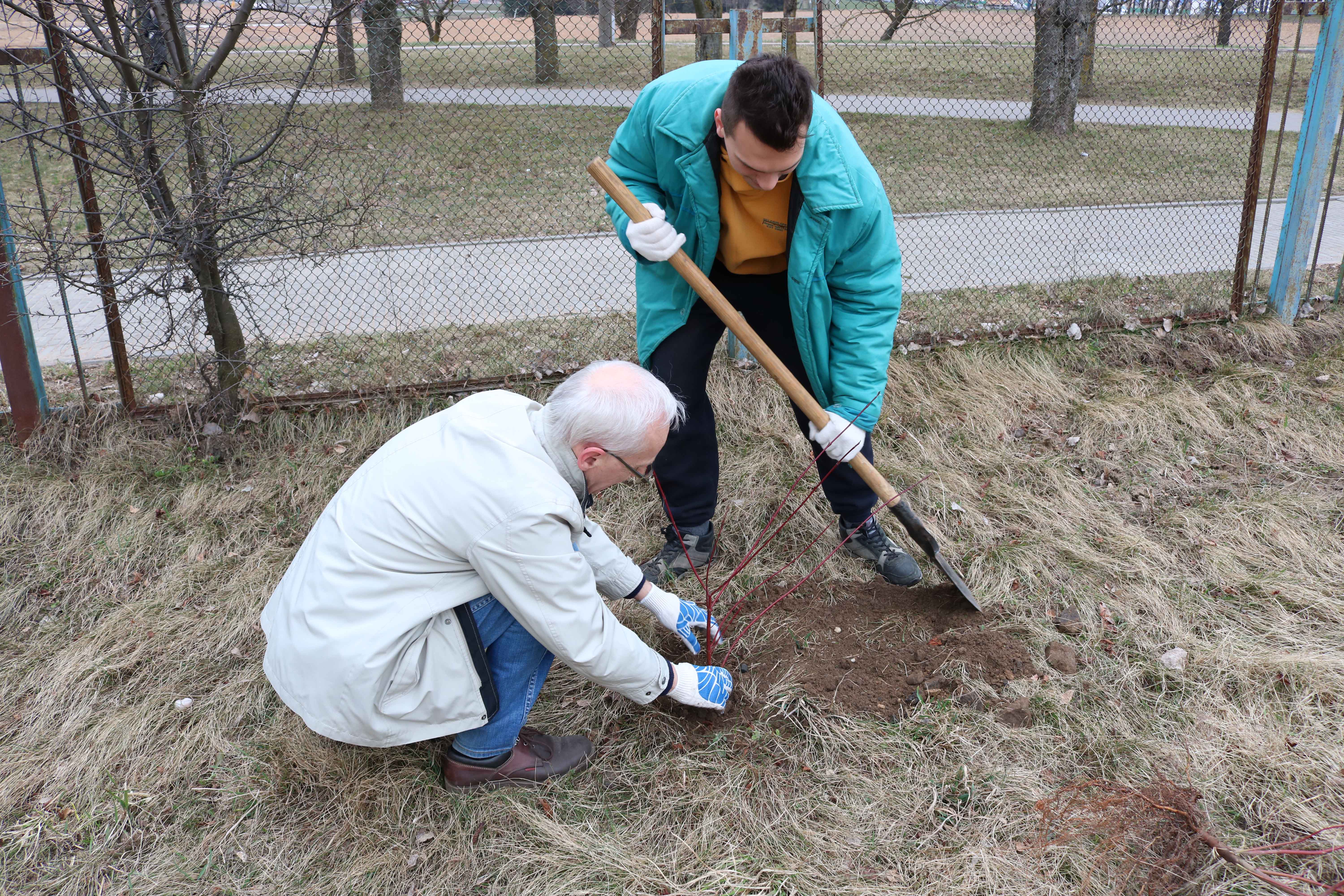 Субботник на территории УП "УНИТЕХПРОМ БГУ"
